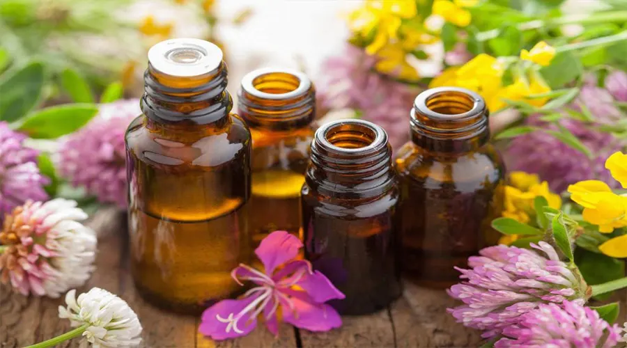 خواص روغن بذر خارمریم اصل از محصولات دکتر اویل