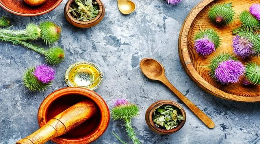 بهترین مارک روغن بذر خارمریم در فروشگاه دکتر اویل
