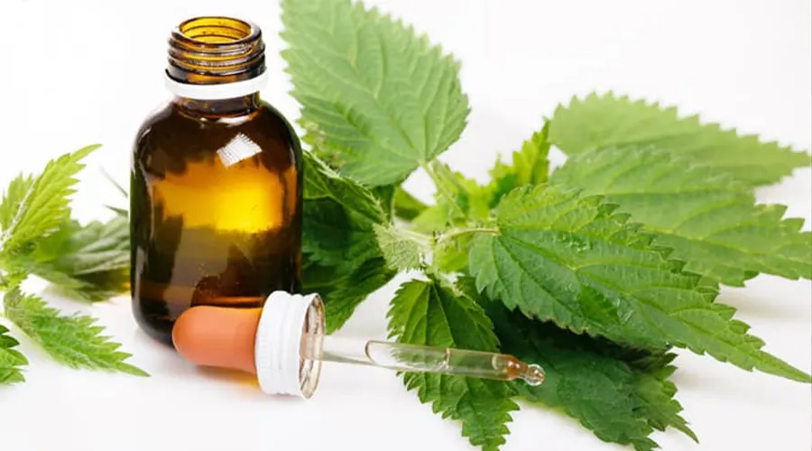 خرید روغن بذر گزنه فرابکر از فروشگاه دکتر اویل