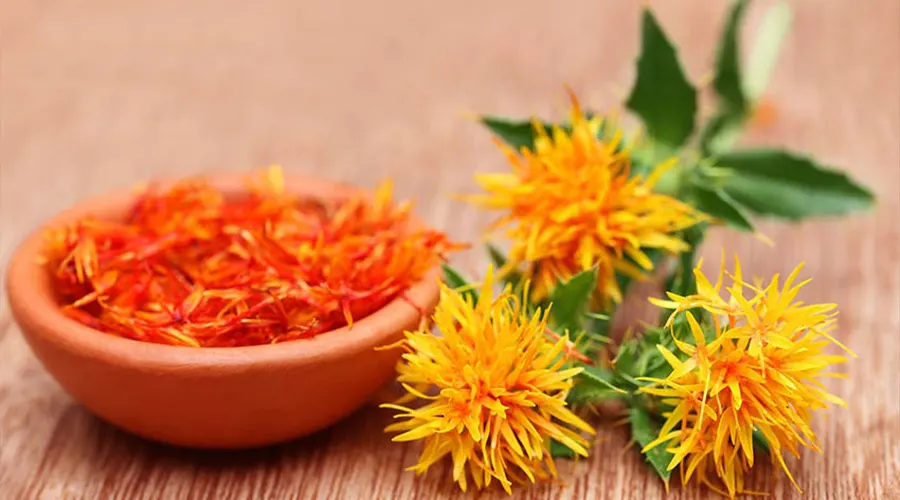 خواص و ترکیبات روغن کلدپرس بذر گلرنگ اصل از محصولات دکتر اویل