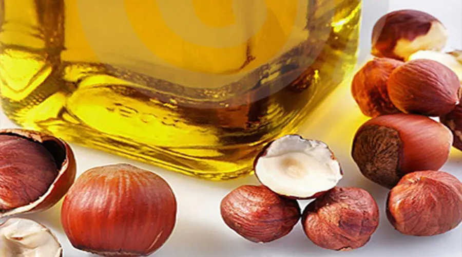 خرید روغن کلدپرس مغز فندق اصل از فروشگاه دکتر اویل