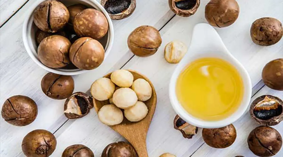 بهترین قیمت خرید روغن کلدپرس ماکادمیا را در فروشگاه دکتر اویل تجربه کنید