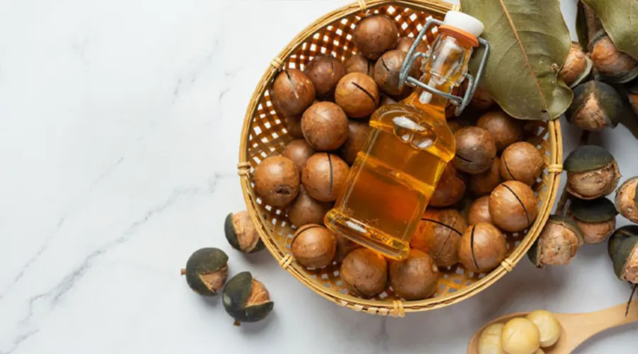 ترکیبات و خواص روغن ماکادمیا اصل از محصولات دکتر اویل
