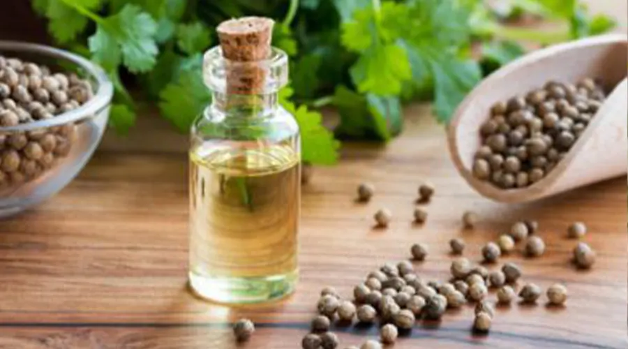 بهترین قیمت خرید روغن کلدپرس تخم گشنیز اصل را در فروشگاه دکتر اویل تجربه کنید.