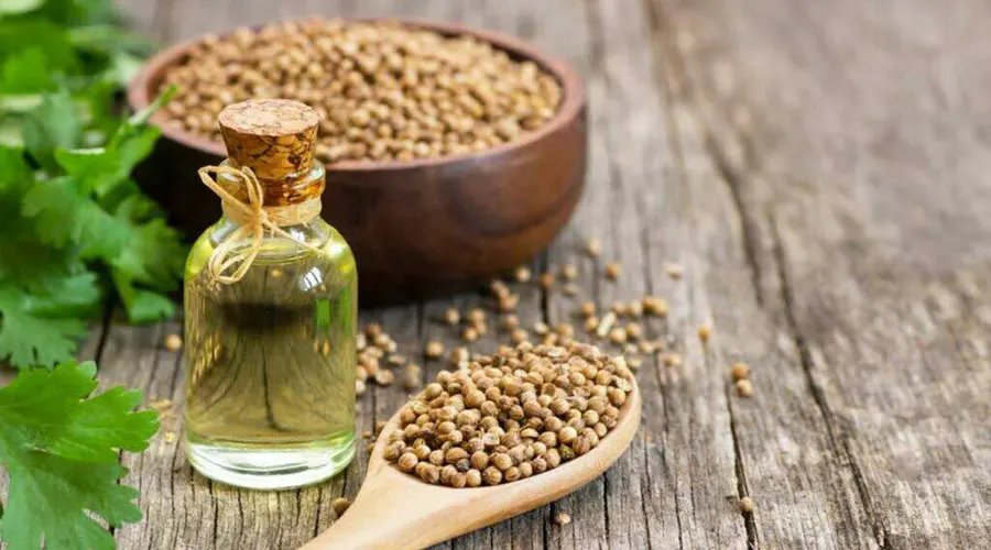 ترکیبات و خواص روغن کلدپرس تخم گشنیز اصل از محصولات دکتر اویل