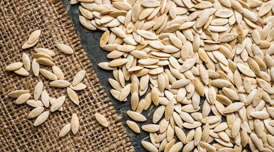 بهترین قیمت خرید روغن بذر خیار سبز را در فروشگاه دکتر اویل تجربه کنید.