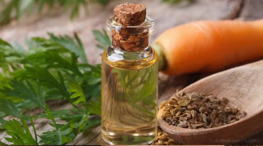 خرید روغن بذر هویج اصل از فروشگاه دکتر اویل
