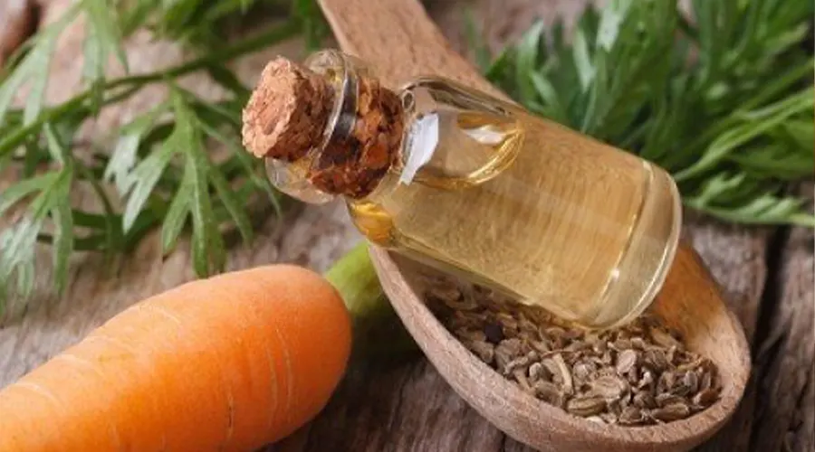 بهترین روش اینترنتی خرید روغن بذر هویج ارگانیک از فروشگاه دکتر اویل