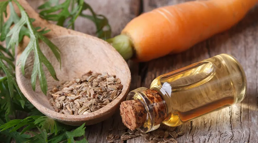 روش مصرف روغن بذر هویج اصل از محصولات دکتر اویل