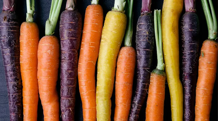 خواص و ترکیبات روغن بذر هویج ارگانیک از محصولات دکتر اویل