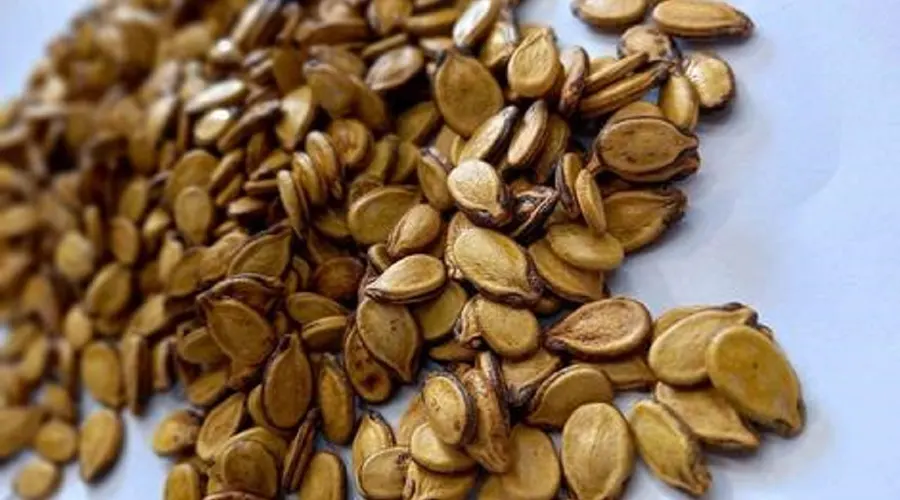 بهترین قیمت خرید روغن هسته هندوانه اصل را در فروشگاه دکتر اویل تجربه کنید.