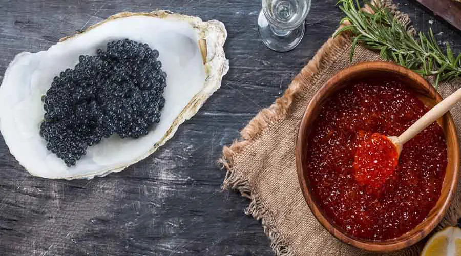 بهترین قیمت خرید روغن خاویار اصل از محصولات دکتر اویل