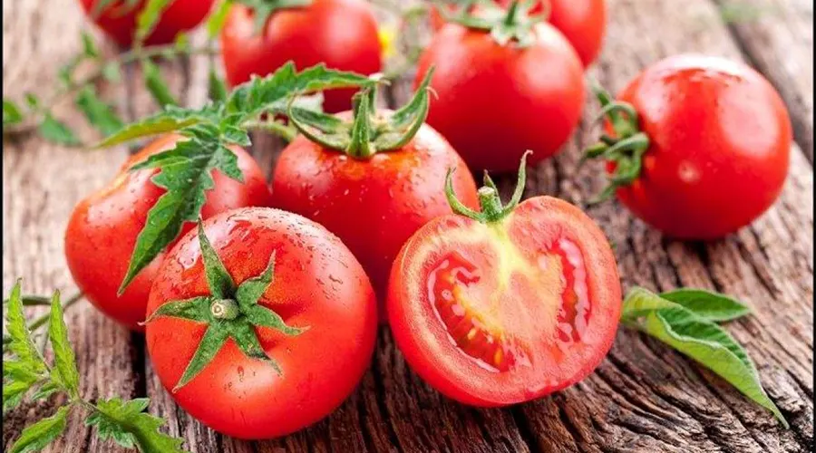 خرید روغن کلدپرس هسته گوجه از فروشگاه دکتر اویل