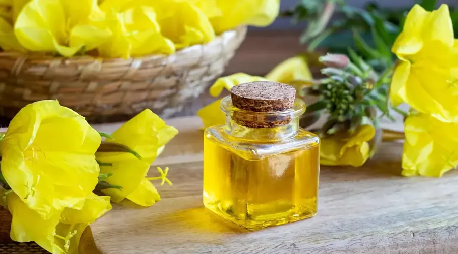 بهترین قیمت خرید روغن بذر گل مغربی را در فروشگاه دکتر اویل تجربه کنید