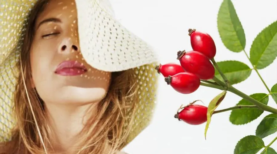 بهترین روش خرید روغن کلدپرس رزهیپ از فروشگاه اینترنتی دکتر اویل