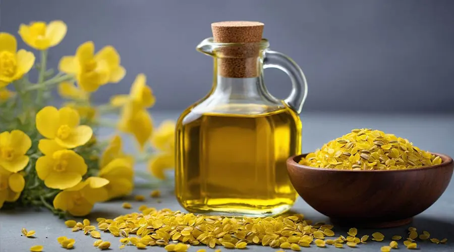 خرید روغن سرخ کردنی کانولا اصل از فروشگاه دکتر اویل