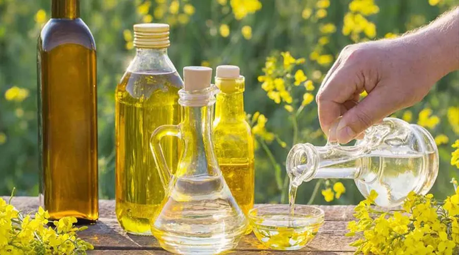 بهترین قیمت خرید روغن سرخ کردنی کانولا اصل را در فروشگاه دکتر اویل تجربه کنید.