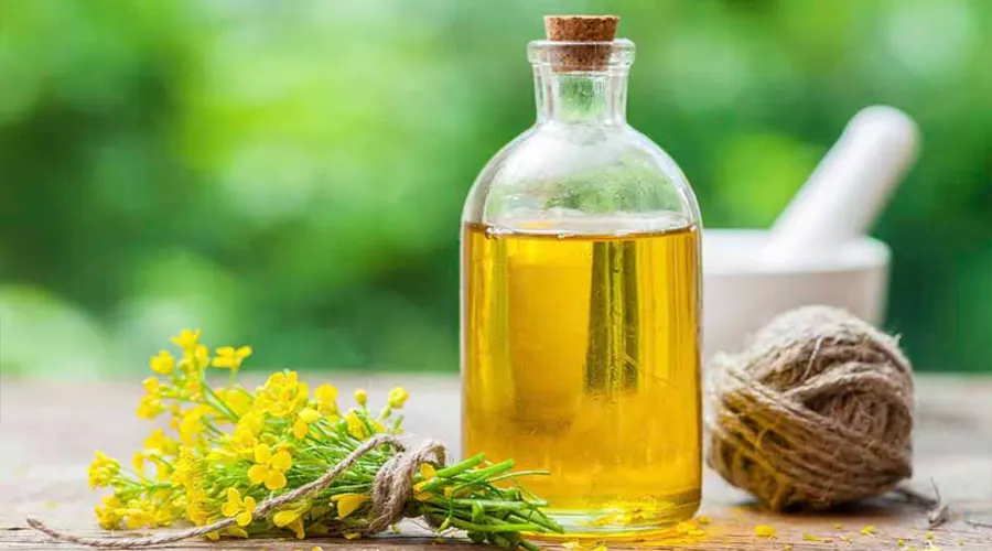 بهترین روش خرید روغن سرخ کردنی کانولا اصل از فروشگاه اینترنتی دکتر اویل