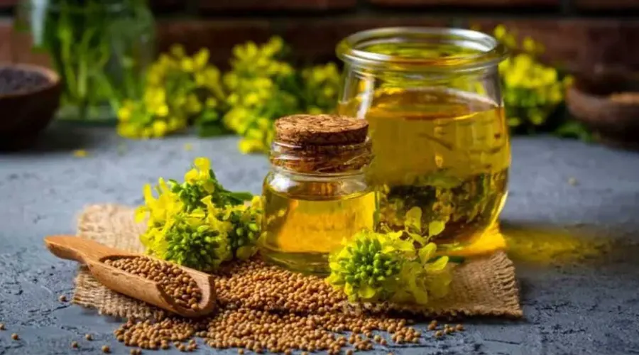 بهترین تجربه خرید روغن سرخ کردنی کانولا در فروشگاه دکتر اویل