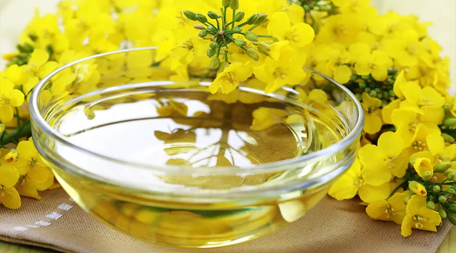 ترکیبات و خواص روغن سرخ کردنی کانولا اصل از محصولات دکتر اویل