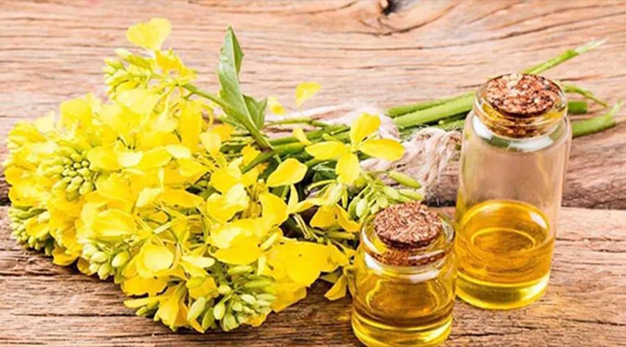 بهترین تجربه خرید روغن پخت و پز کانولا در فروشگاه دکتر اویل