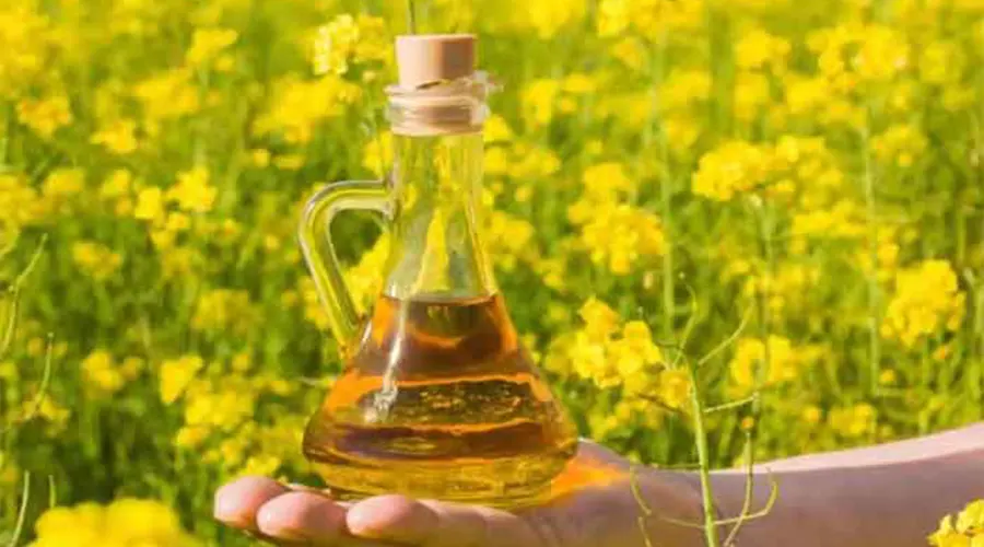 بهترین روش خرید روغن پخت و پز کانولا در فروشگاه اینترنتی دکتر اویل