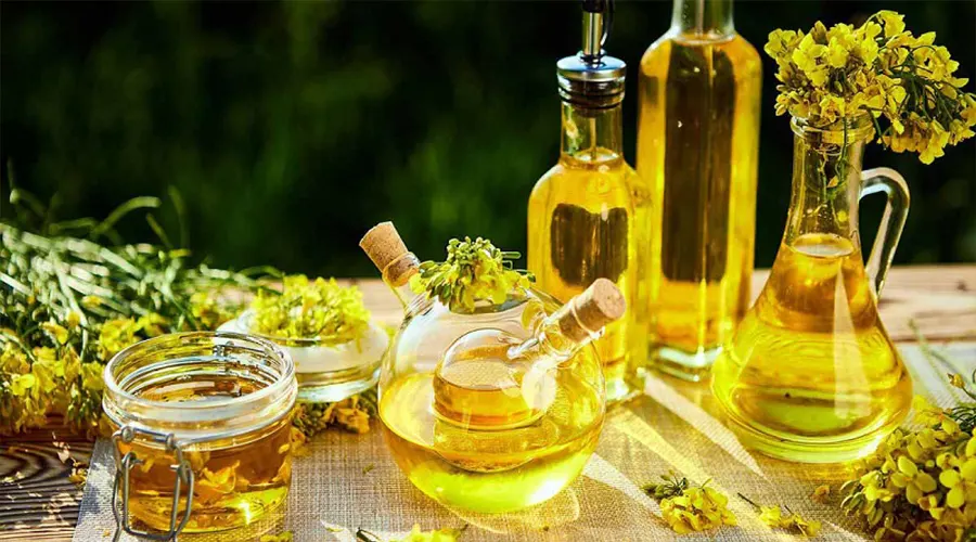 بهترین خرید روغن پخت و پز کانولا را در فروشگاه دکتر اویل تجربه کنید.