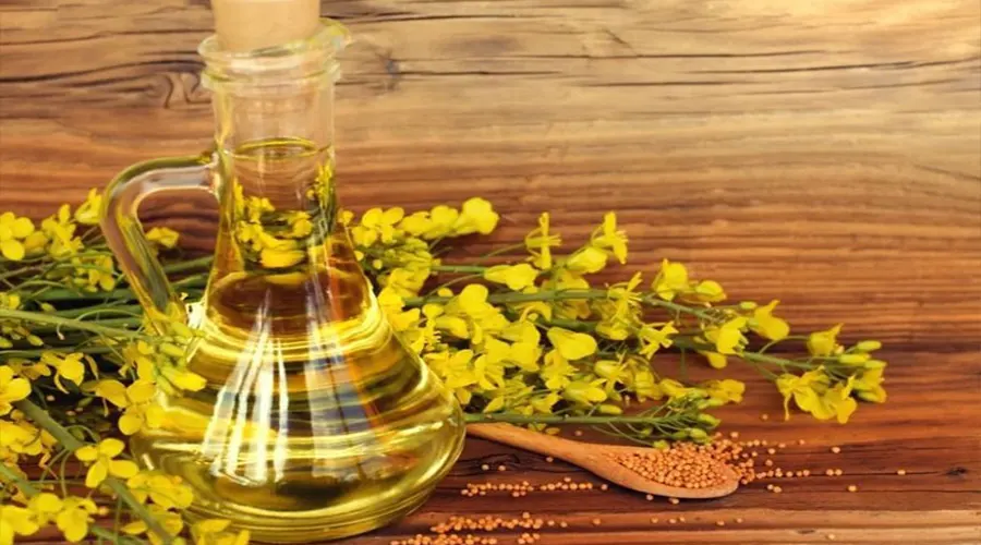 خواص جادویی روغن کانولا از محصولات دکتر اویل