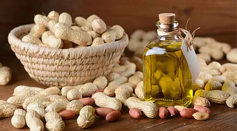 خرید روغن پخت و پز بادام زمینی اصل از فروشگاه دکتر اویل