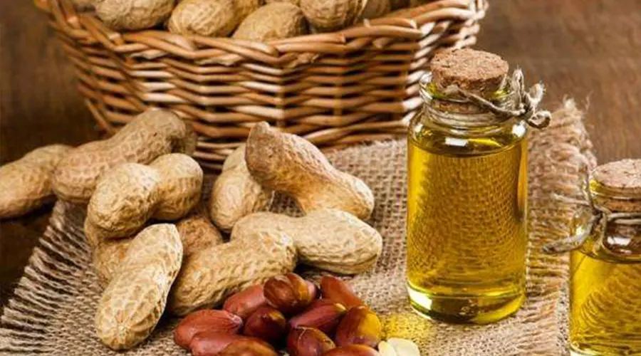 بهترین خرید روغن پخت و پز بادام زمینی را در فروشگاه دکتر اویل تجربه کنید.