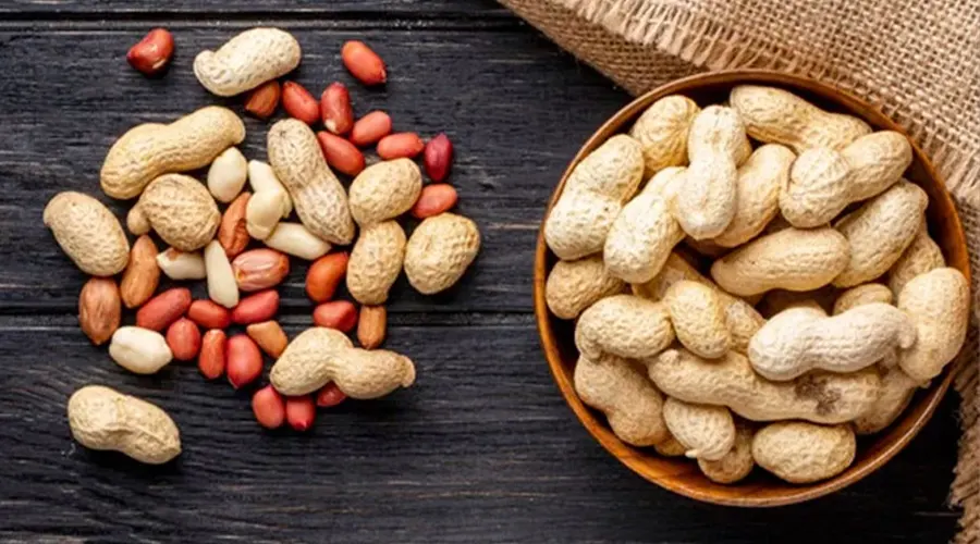 دکتر اویل بهترین برند روغن پخت و پز بادام زمینی اصل در ایران