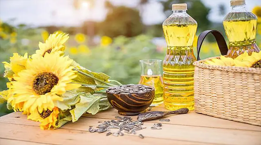 بهترین خرید روغن پخت و پز آفتابگردان اصل را در فروشگاه دکتر اویل تجربه کنید.