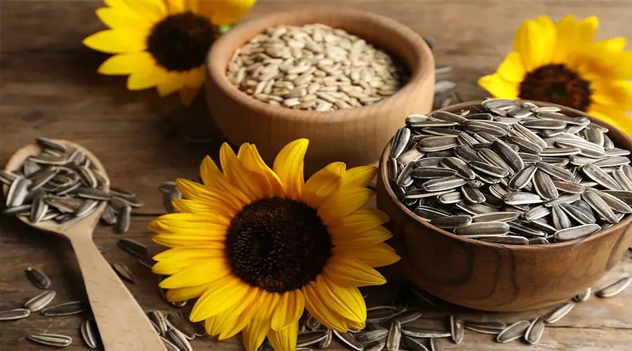 بهترین روش اینترنتی خرید روغن پخت و پز آفتابگردان از فروشگاه اینترنتی دکتر اویل