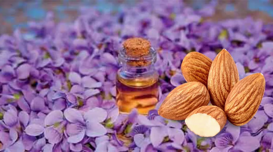 بهترین قیمت خرید روغن بنفشه اصل از فروشگاه دکتر اویل