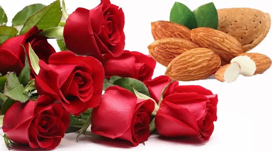 خرید روغن گل سرخ بر پایه بادام از فروشگاه اینترنتی دکتر اویل