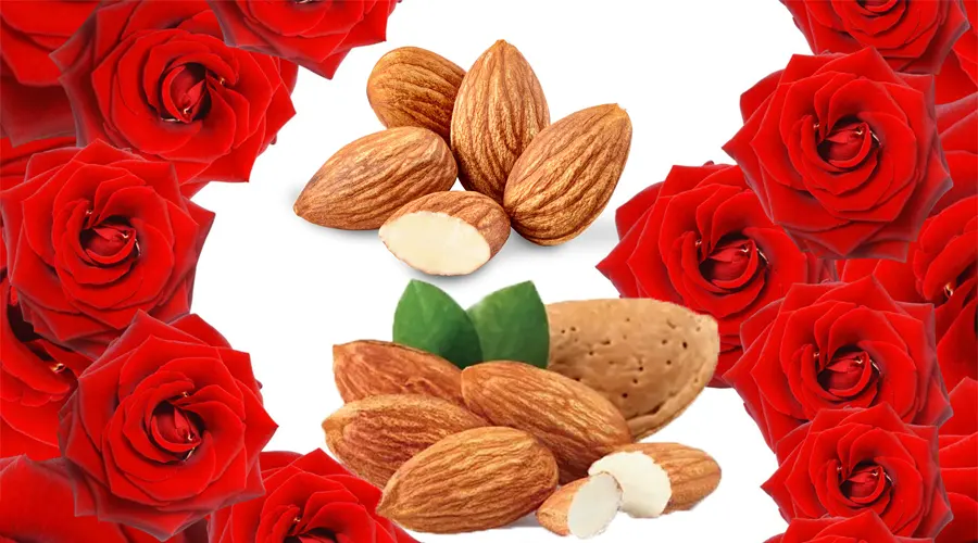 با خرید روغن گل سرخ بر پایه بادام از فروشگاه دکتر اویل و استفاده صحیح از آن از خواص جادوئی آن بهره مند شوید