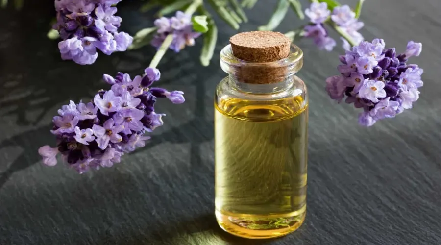 خرید روغن اسطوخدوس اصل از فروشگاه دکتر اویل