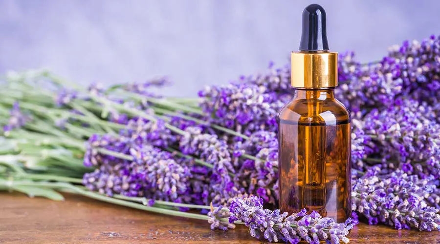 بهترین قیمت خرید روغن اسطوخدوس اصل از فروشگاه اینترنتی دکتر اویل