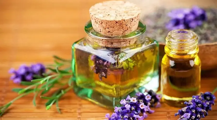 روش های مصرف روغن اسطوخدوس اصل از محصولات دکتر اویل