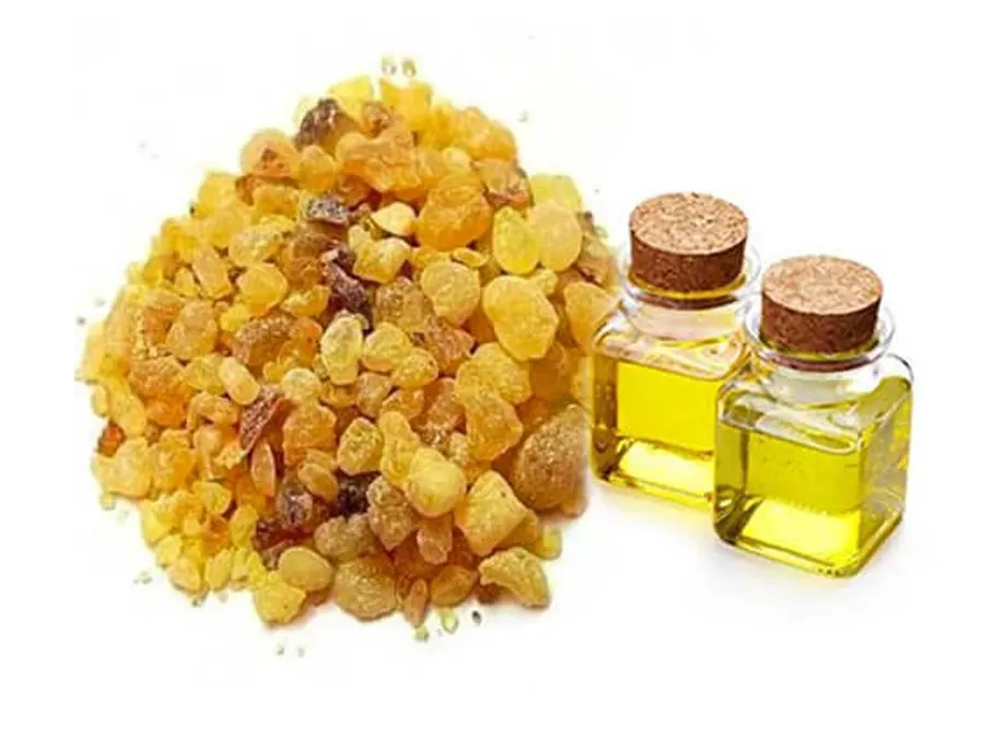 برای استعلام قیمت و خرید روغن سقز اصل با ما تماس بگیرید.