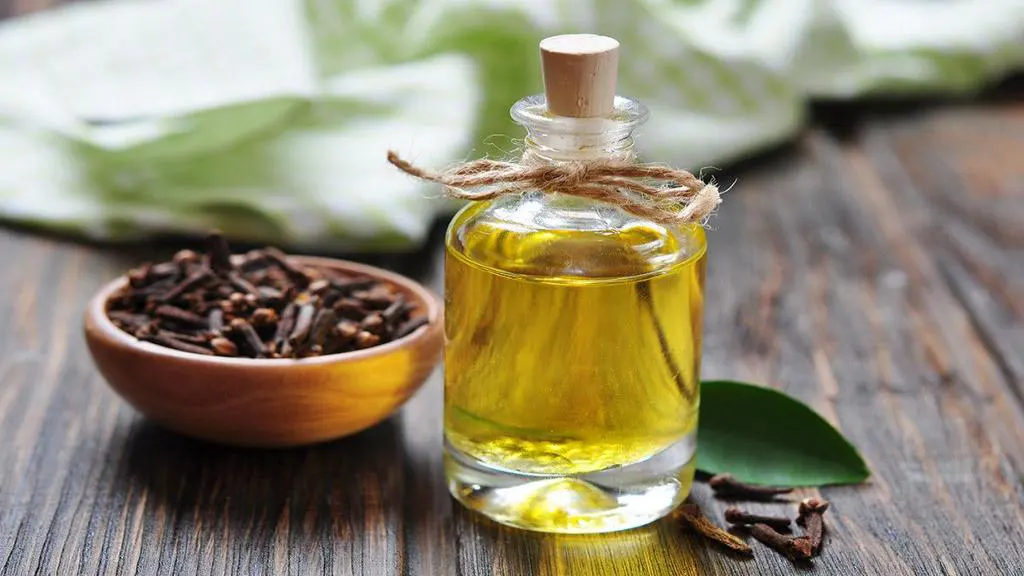 استعلام قیمت و خرید روغن میخک اصل از فروشگاه دکتر اویل