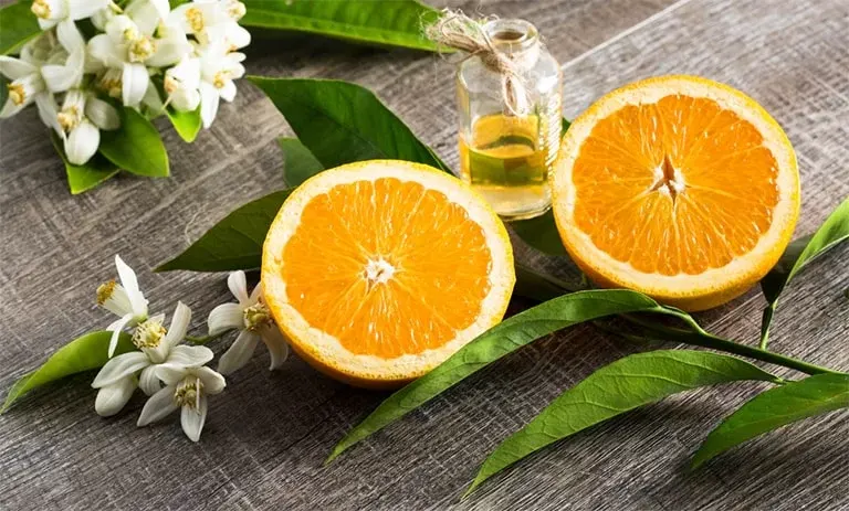 استعلام قیمت و خرید روغن بهار نارنج اعلا از فروشگاه دکتر اویل