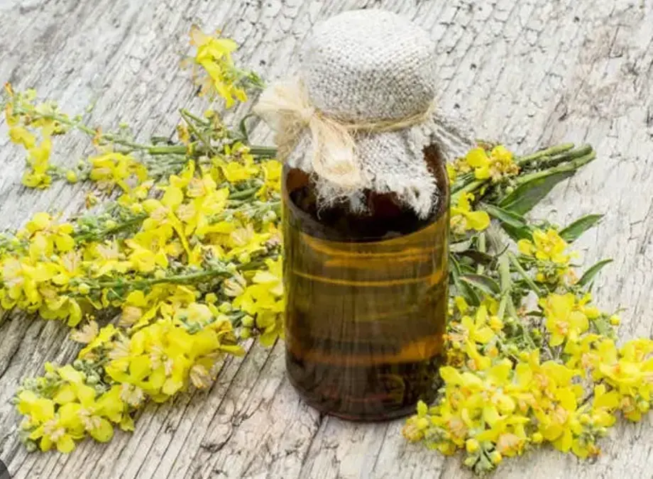 استعلام قیمت و خرید روغن خرگوشک اصل از فروشگاه دکتر اویل