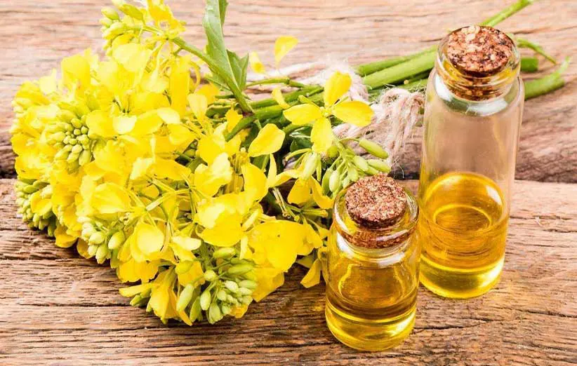 خرید روغن خرگوشک اعلا از فروشگاه دکتر اویل