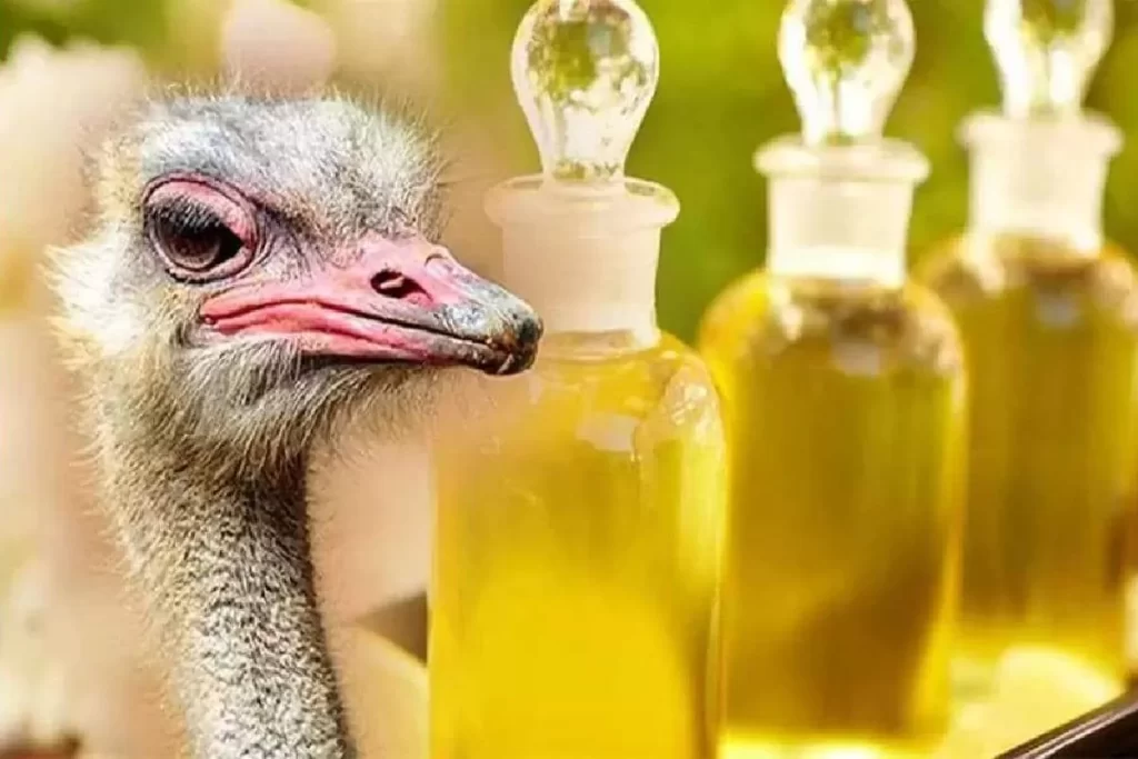 خواص روغن شتر مرغ اعلا محصولی از دکتر اویل
