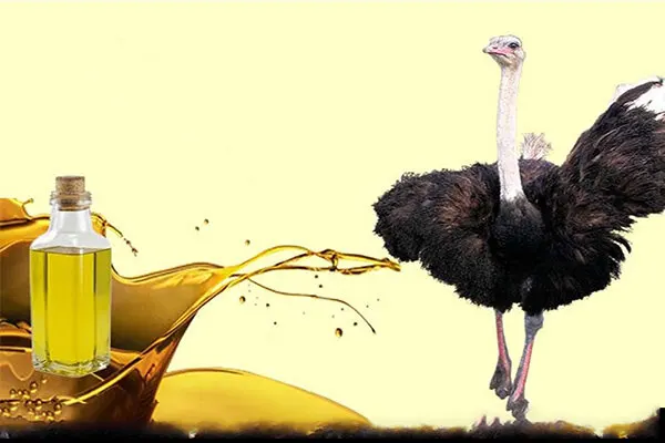 خرید روغن شتر مرغ اعلا از فروشگاه دکتر اویل