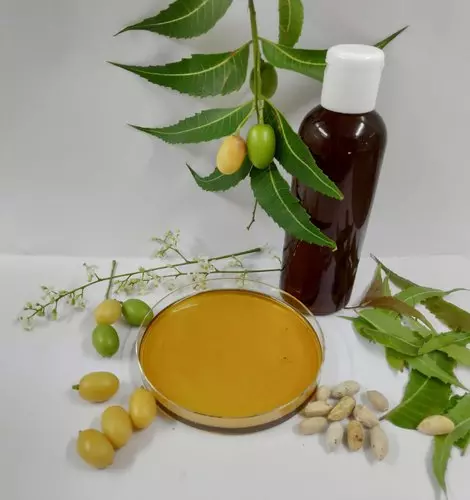 تاثیر روغن دانه چریش اصل بر سلامتی و پوست