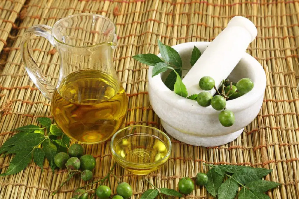استعلام قیمت و خرید روغن دانه چریش اصل