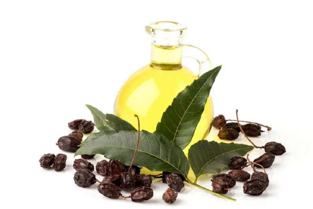 جهت خرید روغن دانه چریش اصل و اعلا با ما تماس بگیرید.