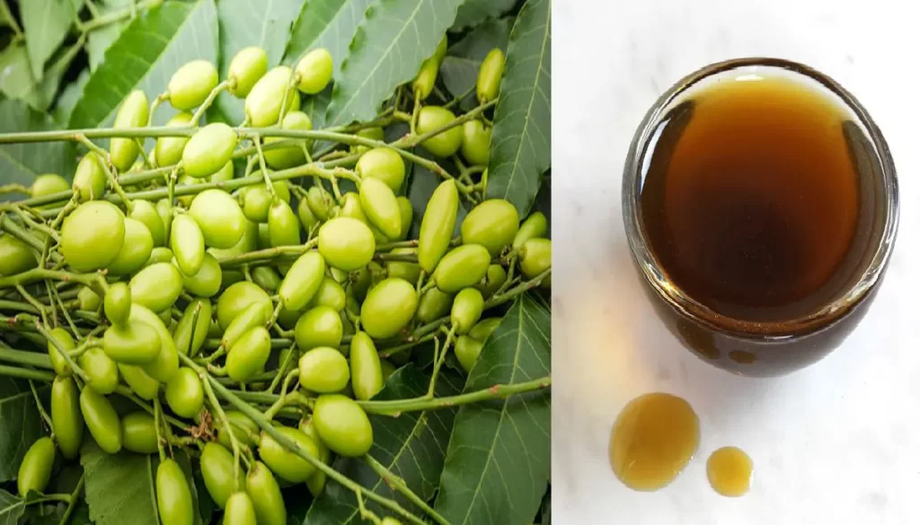 برای استعلام قیمت و خرید روغن دانه چریش با ما تماس بگیرید.